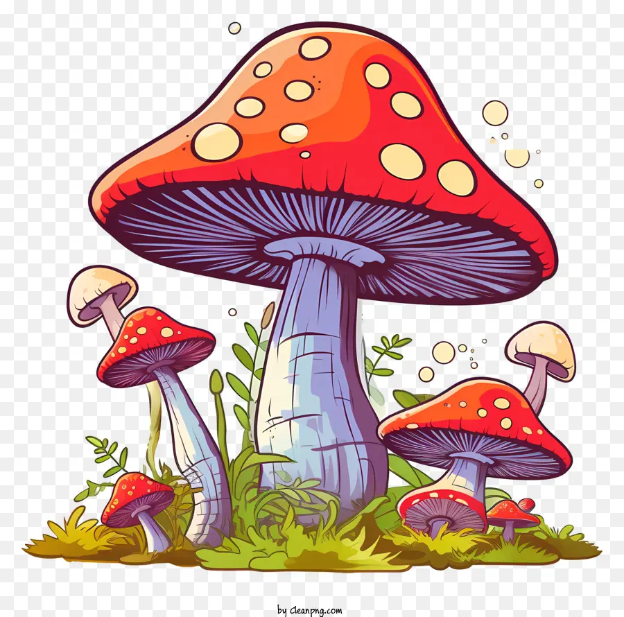 Cartoon funghi funghi arte di funghi colorati funghi di funghi di funghi illustrazione - Fungo da cartone animato colorati che crescono in ambiente erboso
