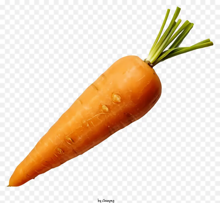 carrot root vegetable salads soups garnish
