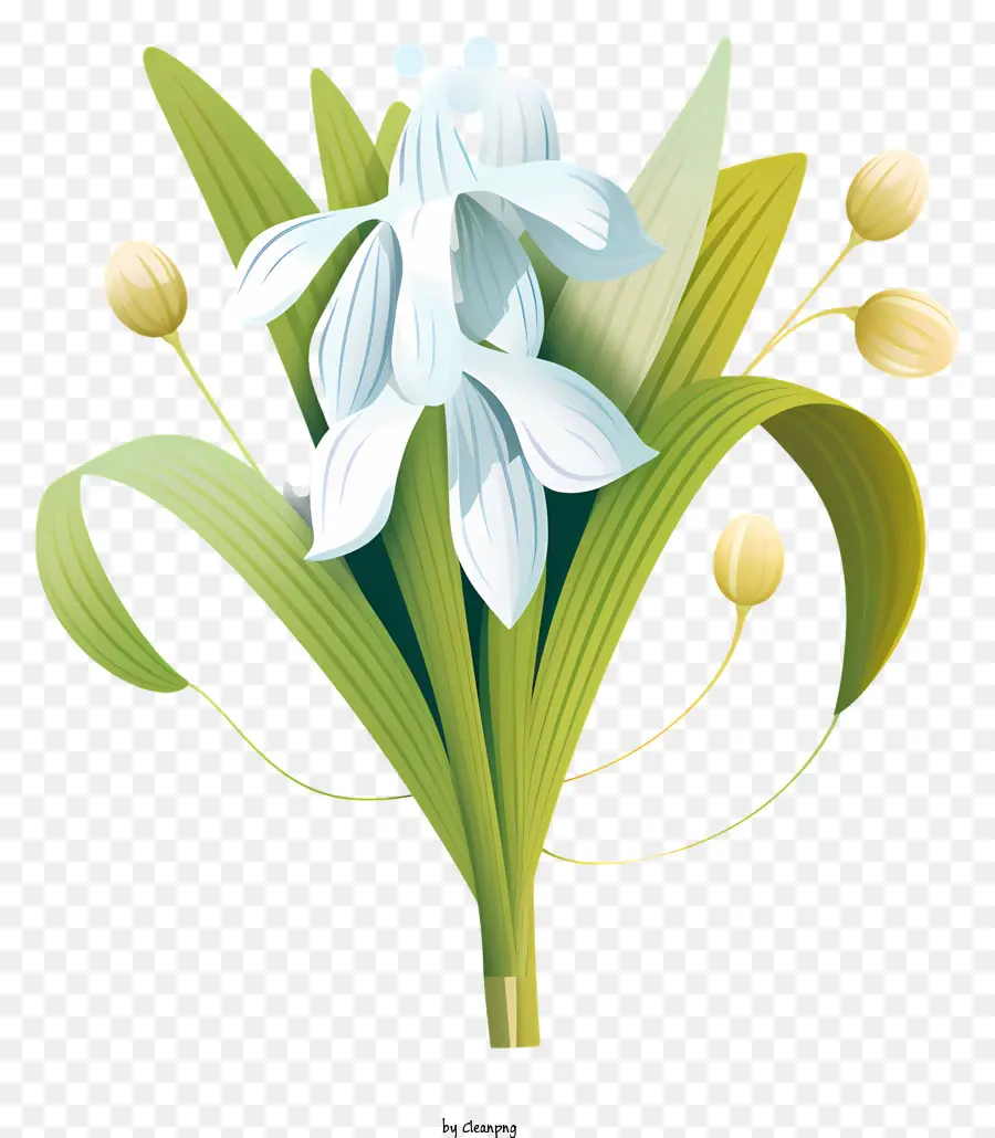 sfondo verde - Bouquet di fiori bianchi con margherite e iridi
