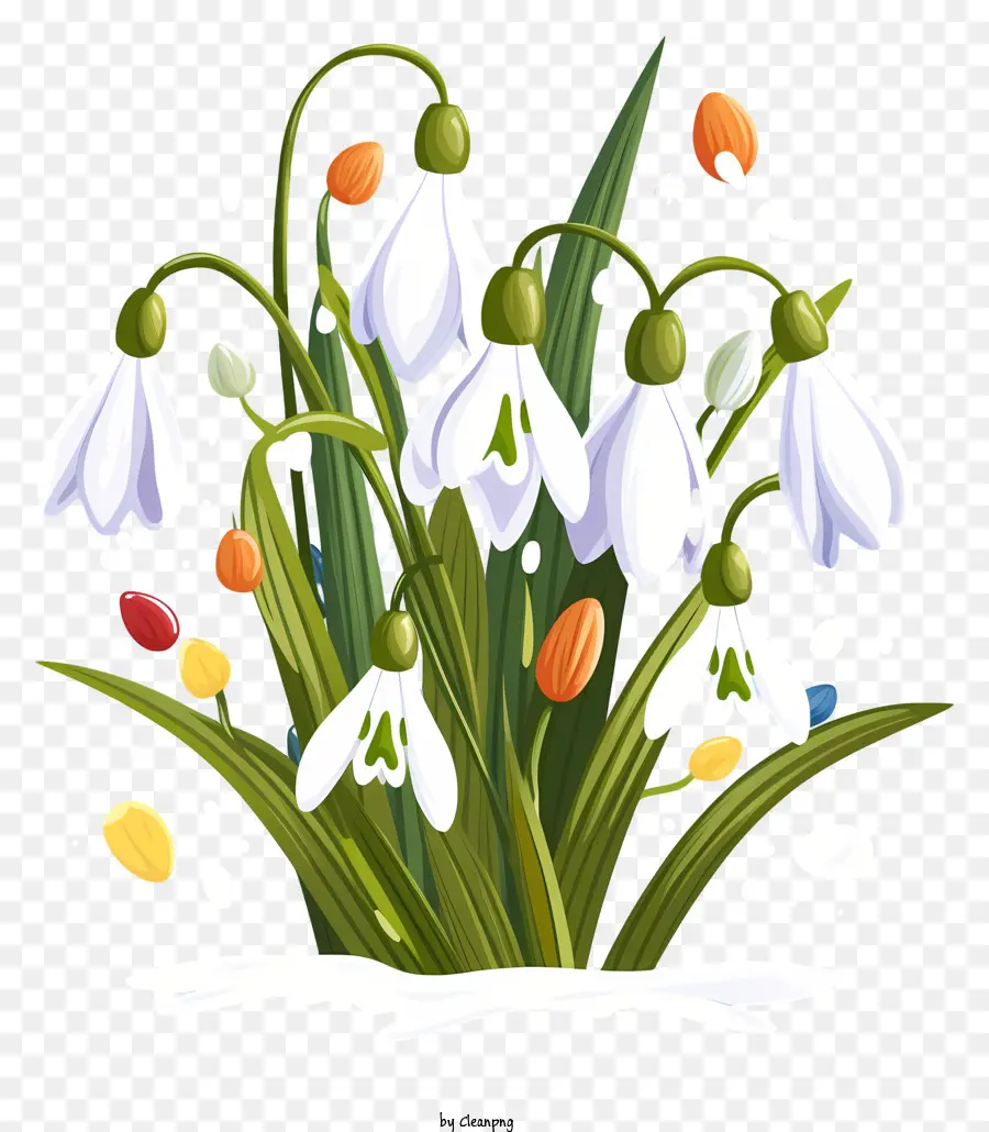 Snowdrops sô cô la kẹo bó hoa màu xanh lá cây màu xanh lá cây - Snowdrops Bouquet với kẹo sô cô la trắng