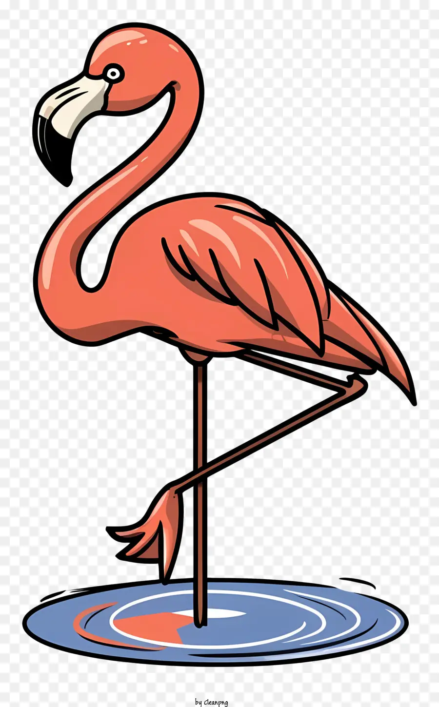 Chim hồng hạc - Red Flamingo đứng trong ao nông
