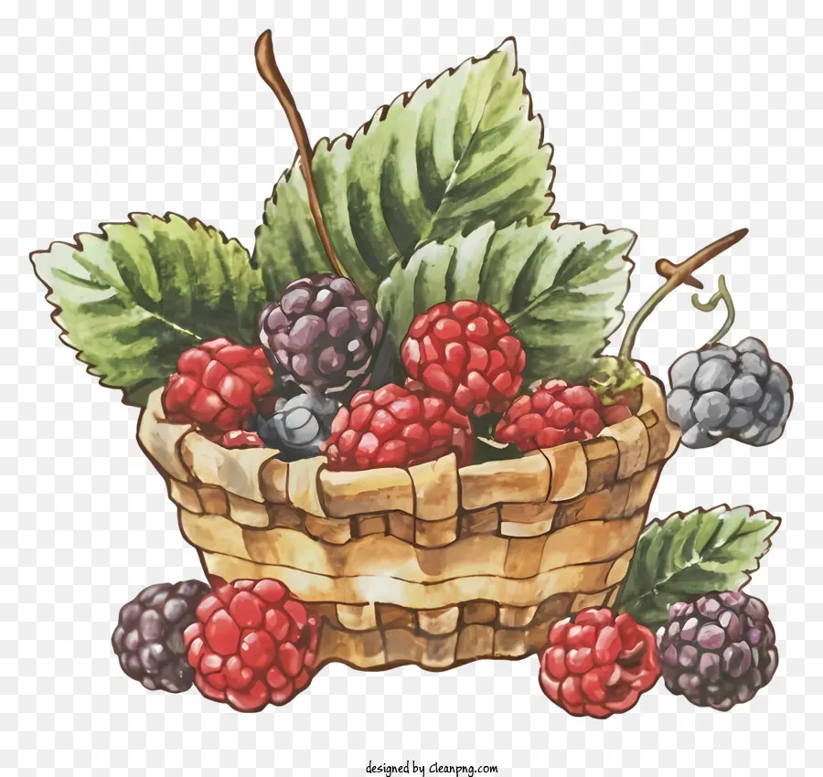 WaterColor Painting Wicker Birberries Strawberries Raspberries - Pittura ad acquerello di bacche miste nel cestino