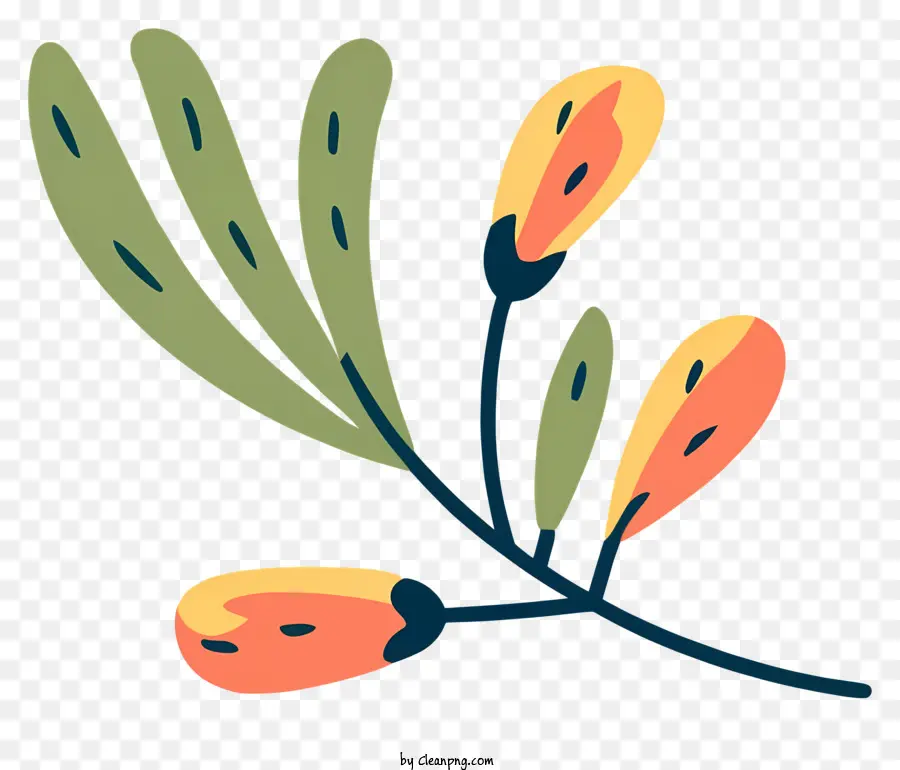 Blühender Zweig kleine Blüten hinterlässt Knospen hellgrüne Farbe - Blühender Zweig mit grünen Blättern und orangefarbenen Blüten