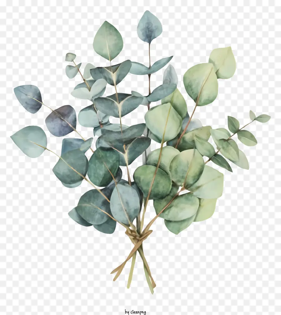 eucalyptus leaves bouquet black background cascading pattern greens and blues