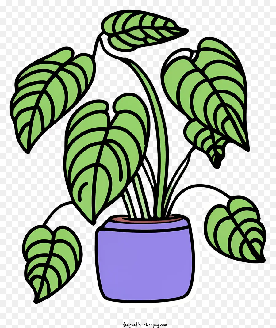 foglie verdi vegetali vaso dal terreno ceramico - Disegno di pianta in vaso con foglie verdi