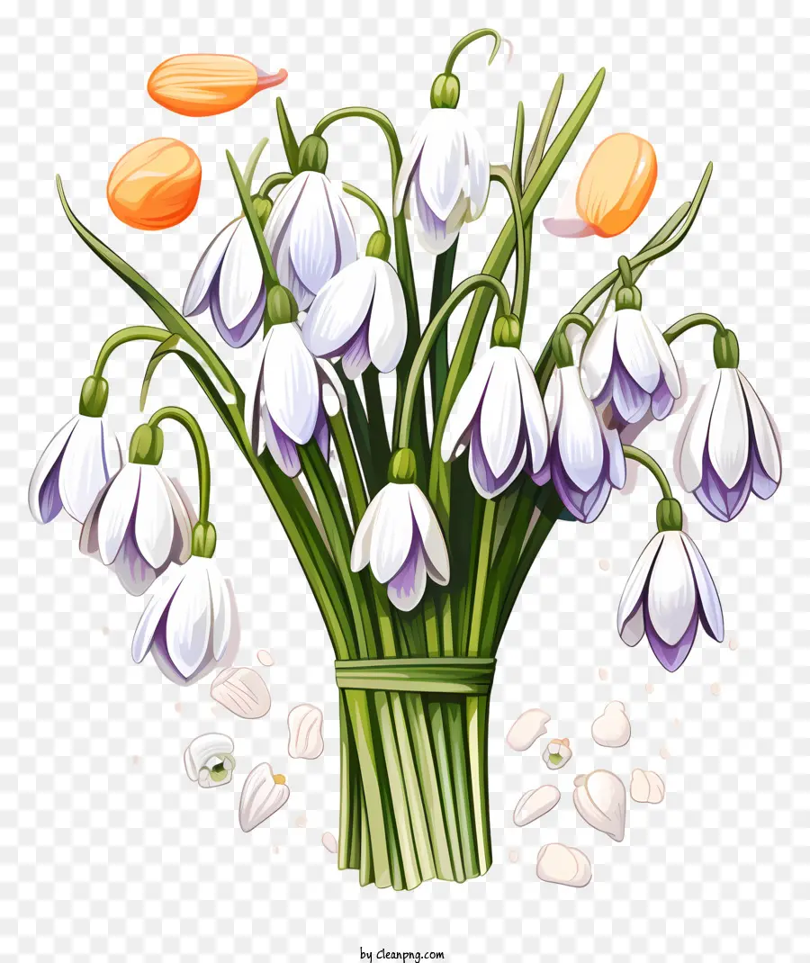 hoa sắp xếp - Snowdrops tươi trong bình với màu cam và sô cô la