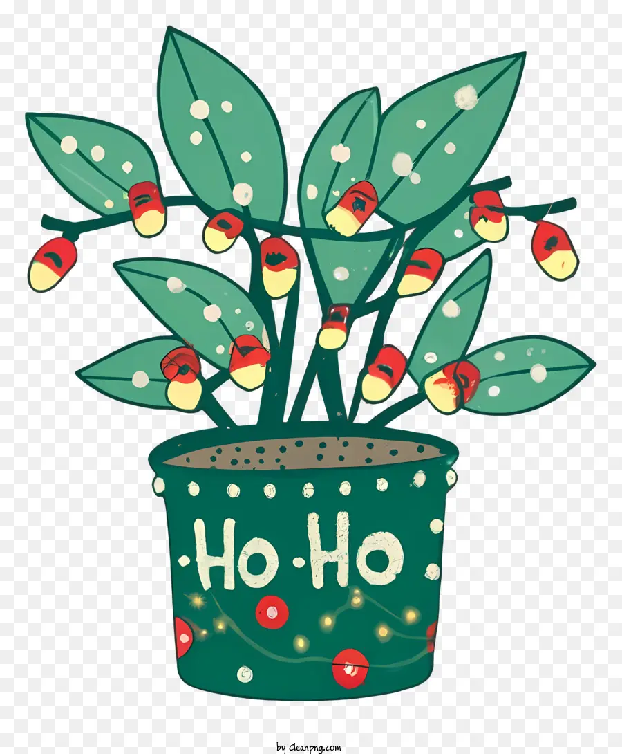 Pflanzen Sie in Topf rote Lichter Stiel und Blätter grüner Pflanzen Keramik -Topf - Weihnachtspflanze mit roten Lichtern im Topf