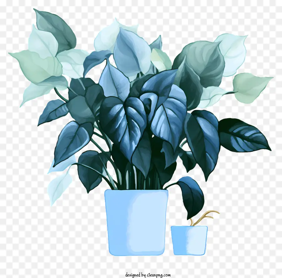 blue vase green plants white leaves white base dark blue interior