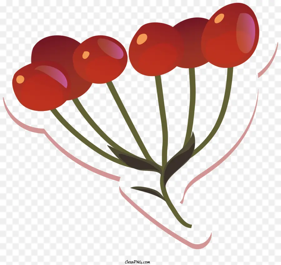 heart-shaped fruit red berries circular arrangement overlapping berries stem