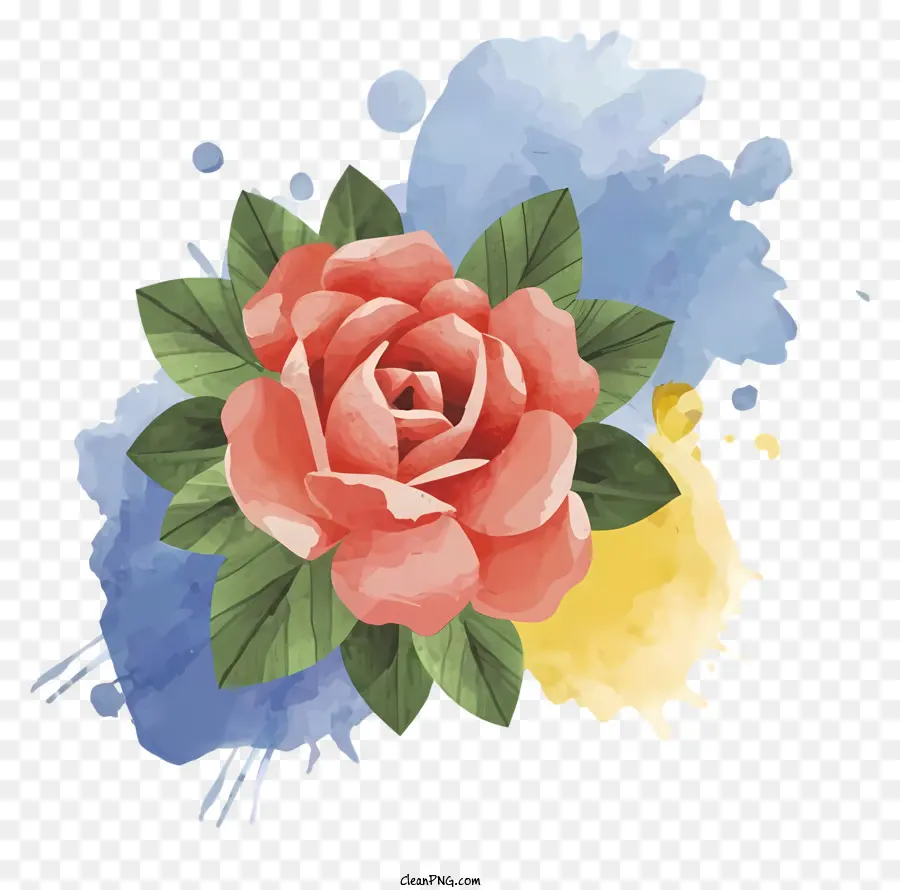 Rose - Vollblume Rose mit farbenfrohen Hintergrundflecken