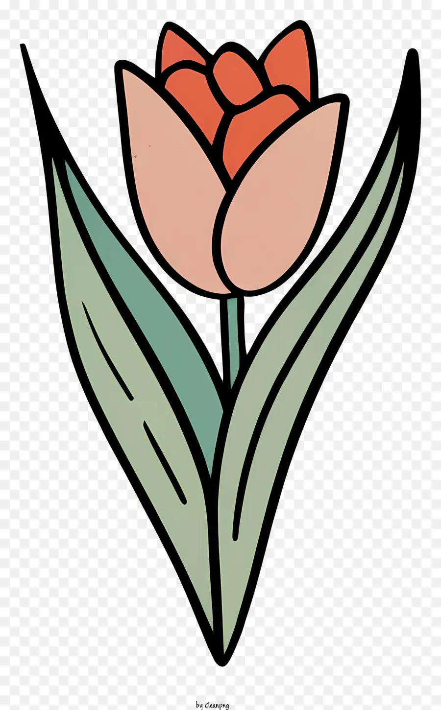 Hoa tulip hoa màu xanh lá cây hoa tulip phải - Hoa tulip đỏ với thân và lá xanh