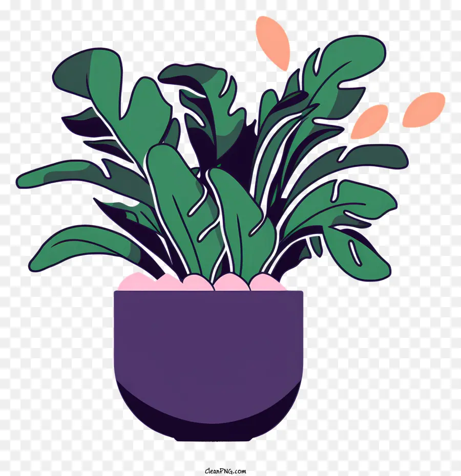 purple pot green leaves round pot simple shape pink leaves