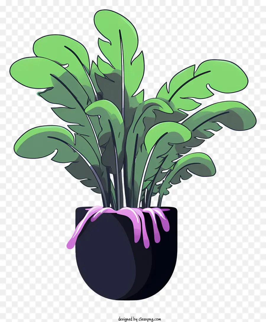 foglie verdi pianta in vaso foglie di ondeggiamenti viola liquidi - Pianta in vaso con foglie viola che cadono ondeggiano pacificamente