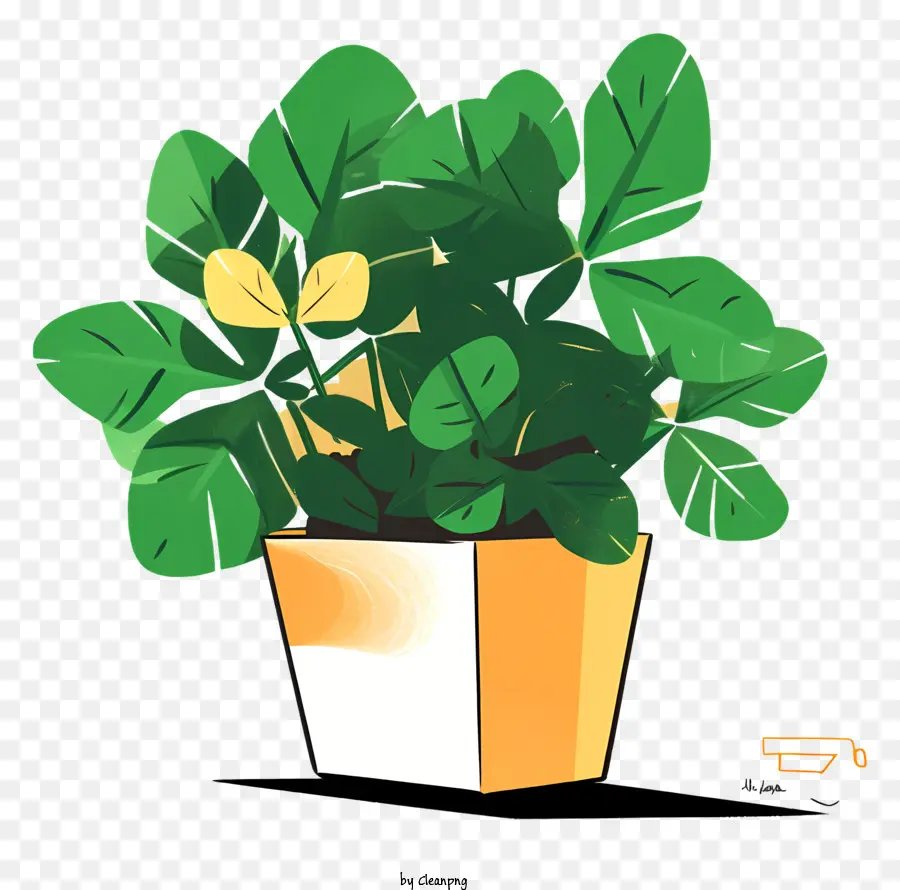 Topfpflanze grüne Blattpflanze weiße Keramik Topf gelbe Basis grüne Pflanzen - Grüne Blattpflanze im weißen Topf mit gelber Basis