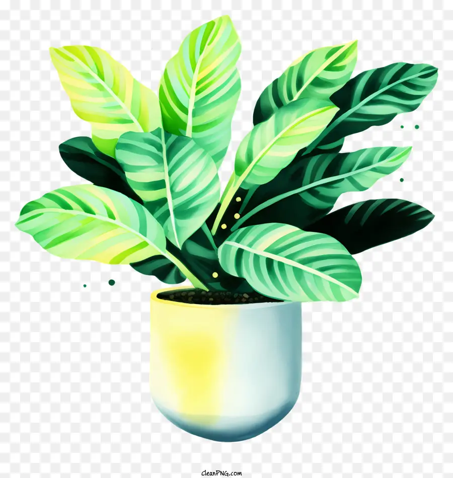 dipinto di pianta vaso vaso verde foglie piccoli fiori bianchi - Dipinto di pianta in vaso con foglie e fiori