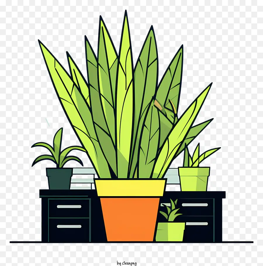 piante d'ufficio decorazione scrivania fioriere per vegetazione per interni - Scrivania occasionale con piante in vaso
