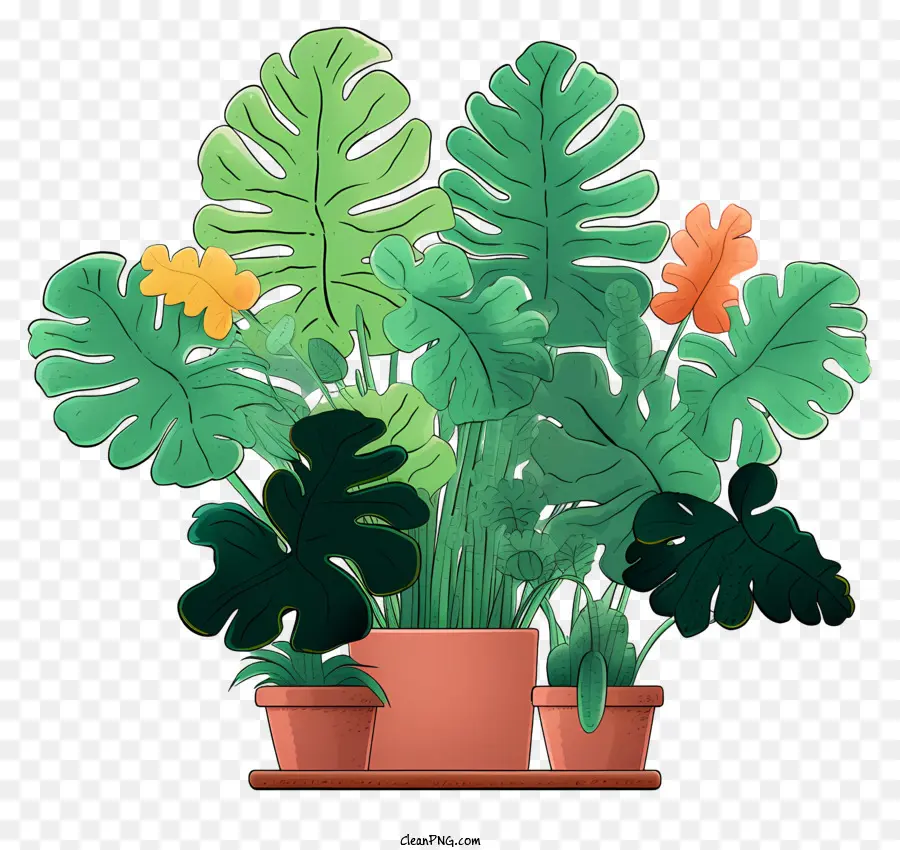pianta pianta in vaso fiori a foglia verde arancione fiori gialli - Pianta in vaso colorata con foglia verde circondata da fiori su scaffale in legno scuro