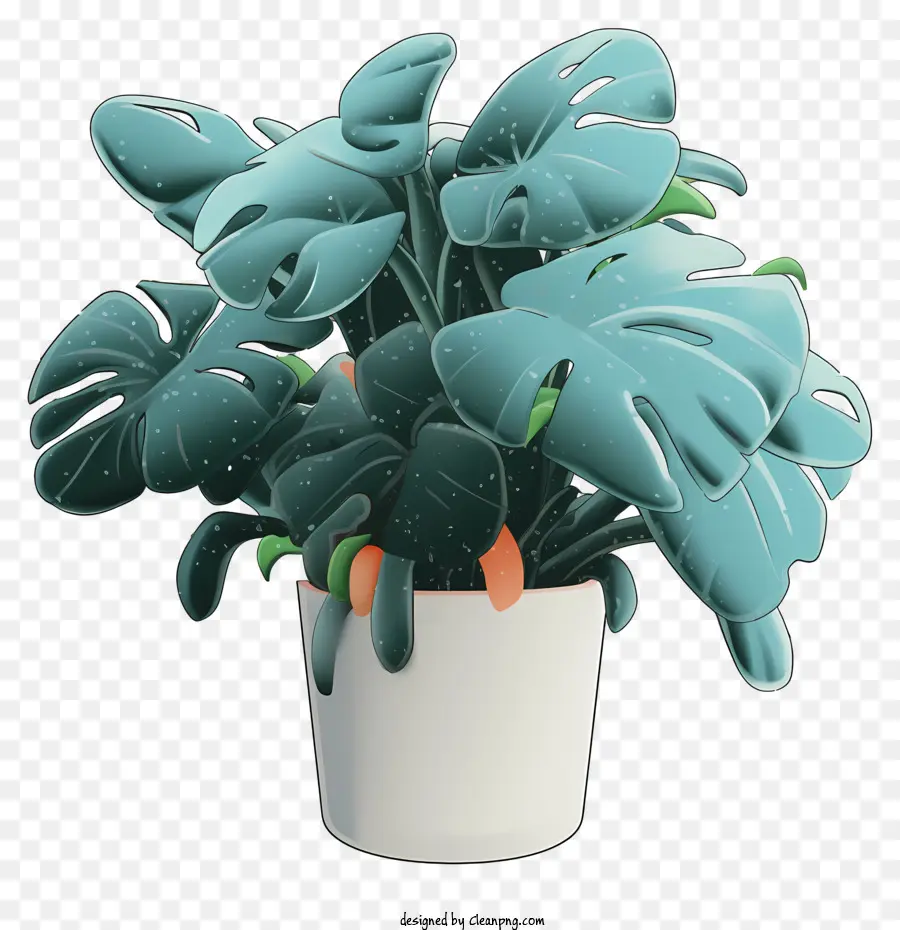 pianta in vaso piccole piante foglie verde brillante steli verde scuro senza fiori - Pianta in vaso piccola e pacifica con foglie verdi