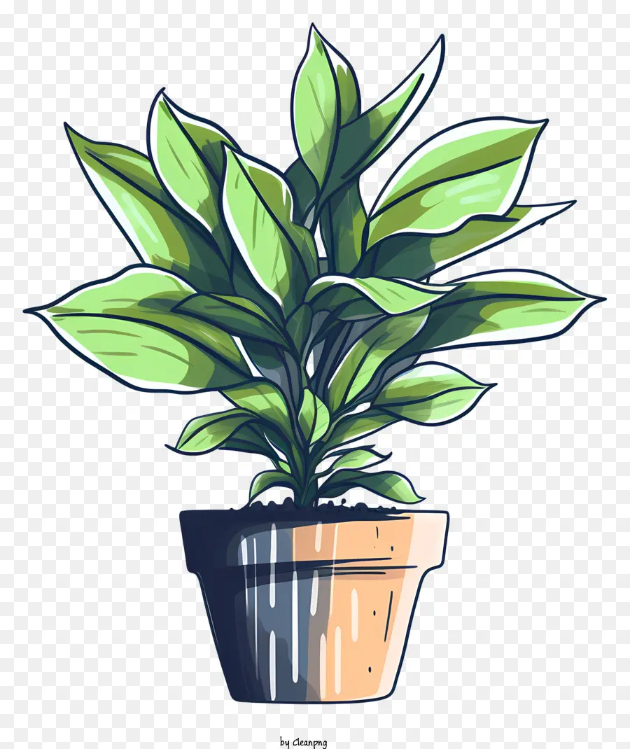 Pflanze Blätter grün Topfpflanzenerde - Bild: Topfpflanze mit grünen Blättern