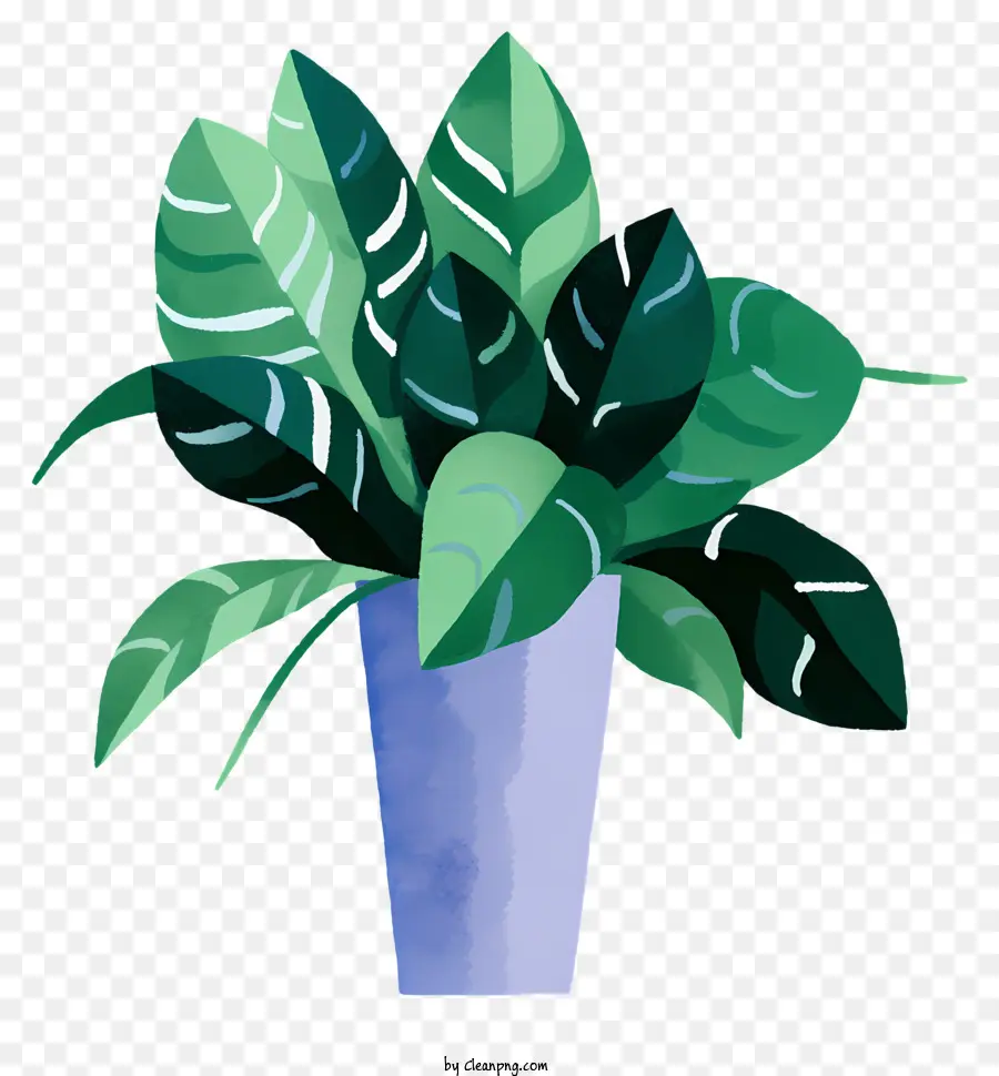 Felce - Grande pianta in vaso con foglie verdi lussureggianti