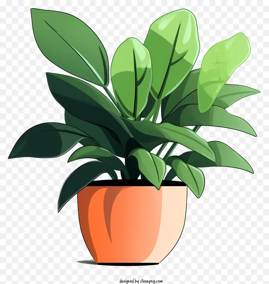Pflanze in Topf Grüne Blatt Pflanze rote Stängel brauner Topf weißer Boden - Kleine grüne Pflanze im braunen Topf auf schwarzem Hintergrund