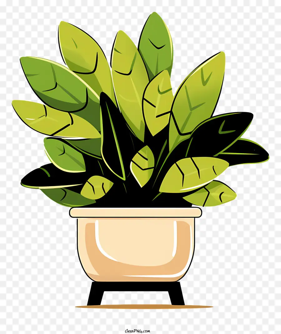 Kleine Pflanzentopf Holzoberfläche dunkelbraune Randgrüne Blätter - Kleine Topfpflanze mit schmalen grünen Blättern