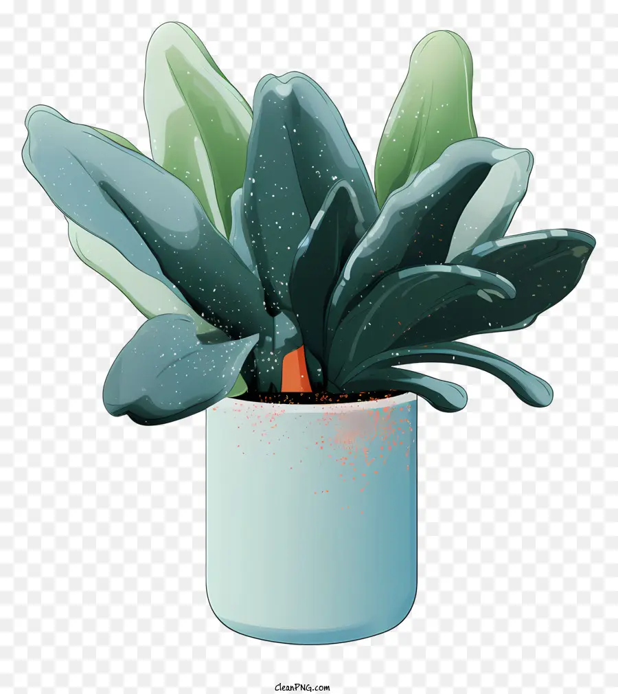 pianta in vaso foglie verdi di pianta piccola pentola in ceramica bianca decorata - Piccola pianta in vaso con foglie verdi in pentola bianca