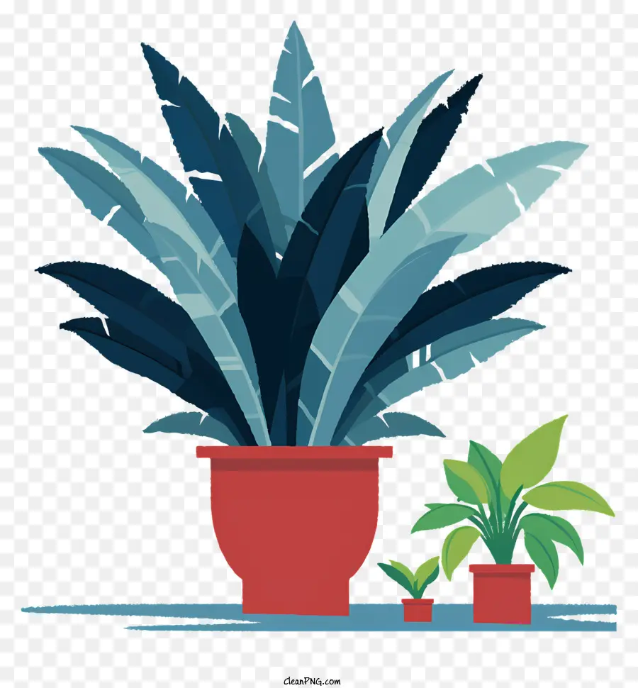 potted plant houseplant bromeliad green leaves green stems