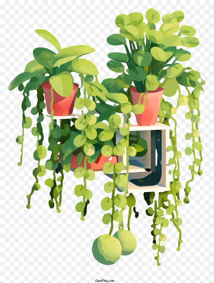 3D -Pflanzenhängepflanzen Deckenpflanzen grüne Pflanzenblätter Blätter - Nichtinteraktive 3D -Anlage, die an der schwarzen Decke hängt