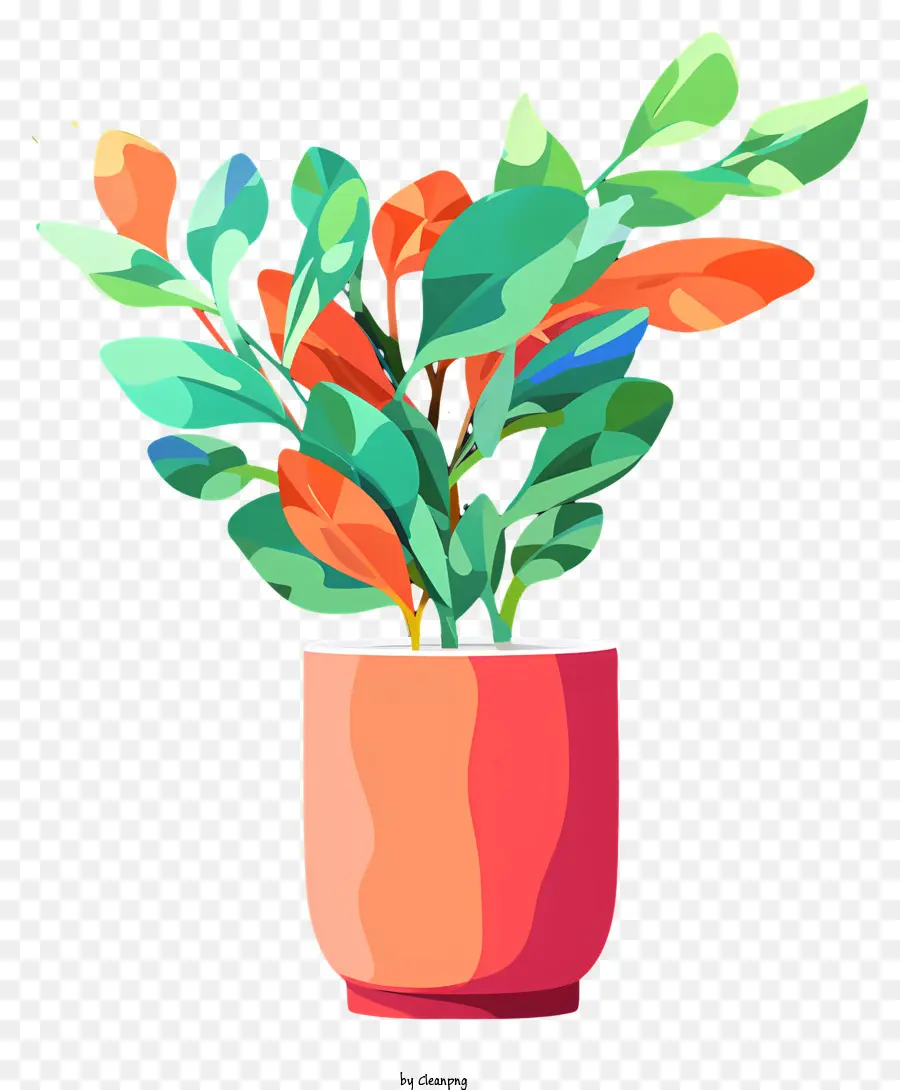 pianta in vaso in vaso sfondo nero foglie verdi fiori rosa - Pianta con foglie verdi e fiori colorati in una pentola