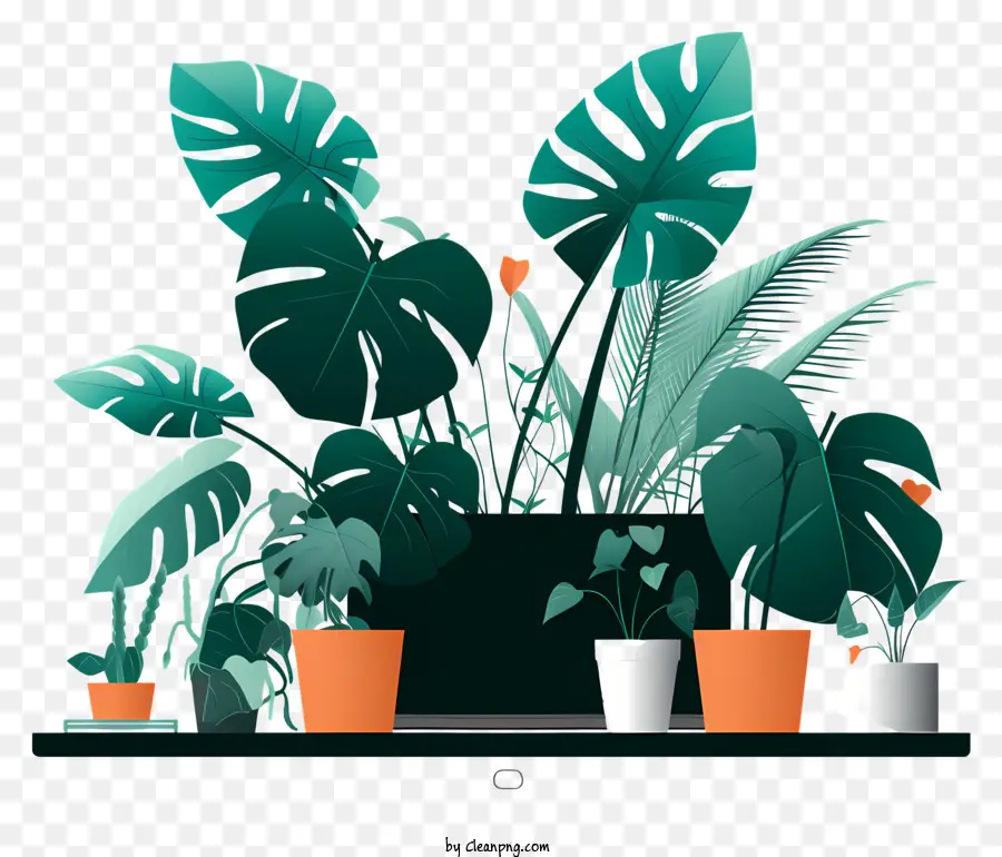 Pflanzen grüne Pflanzen Topfpflanzen Sukkulenten Farne Farne - Symmetrische Pflanzenanzeige mit verschiedenen grünen Pflanzen