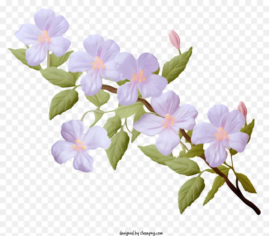 Hoa hoa màu hồng hoa màu tím cụm hoa văn đối xứng - Cụm hoa màu hồng và tím trên cành