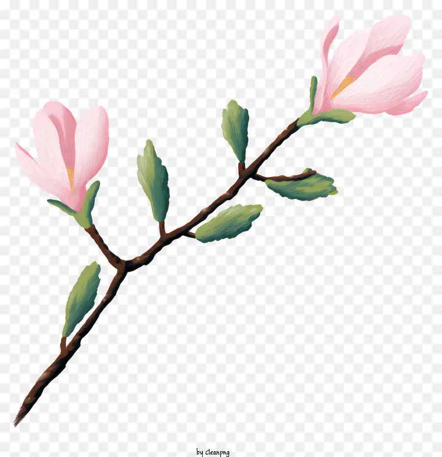 Zweig rosa Blüten grüne Blätter Magnolia lilac - Realistischer Ast mit rosa Blumen, grüne Blätter