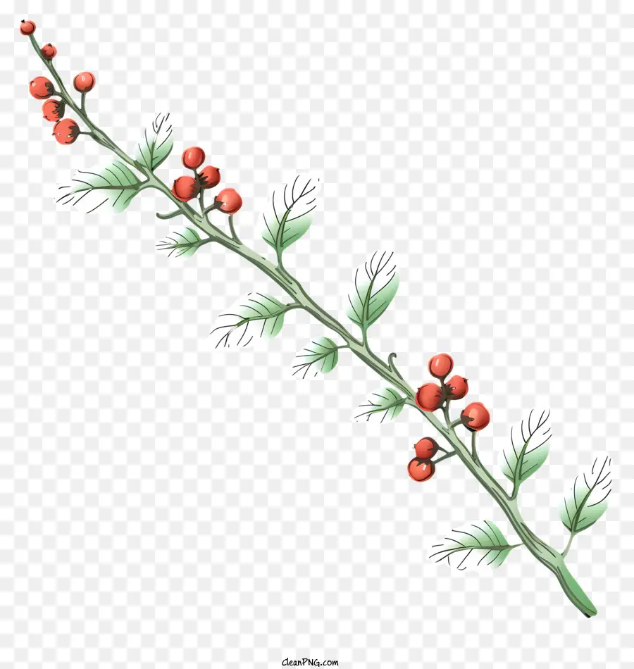 red berries bush with red berries branch with berries brightly colored berries small bush