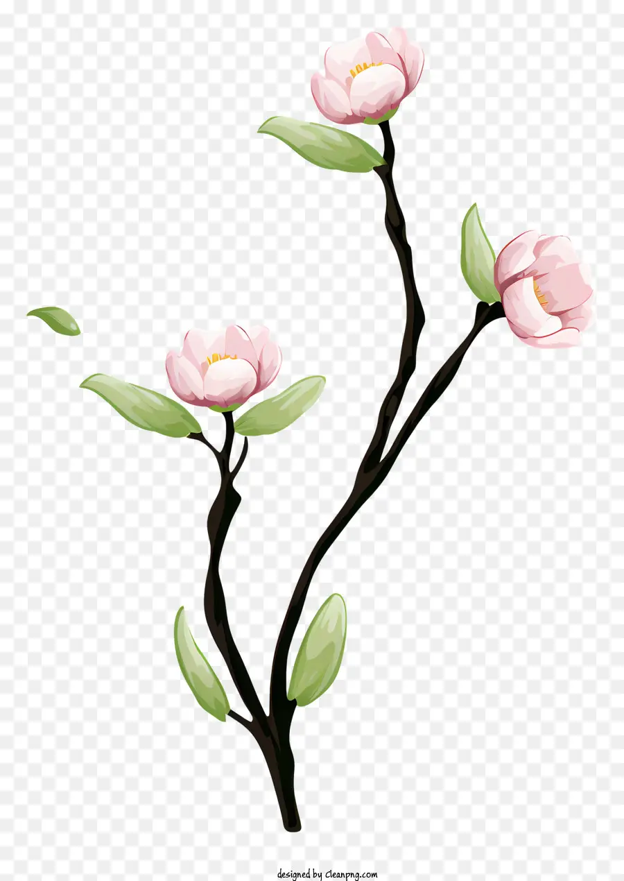 Zweig rosa Blüten hinterlässt die Wachstumsbasis - Schwarz -Weiß -Bild des rosa Blumenzweigs