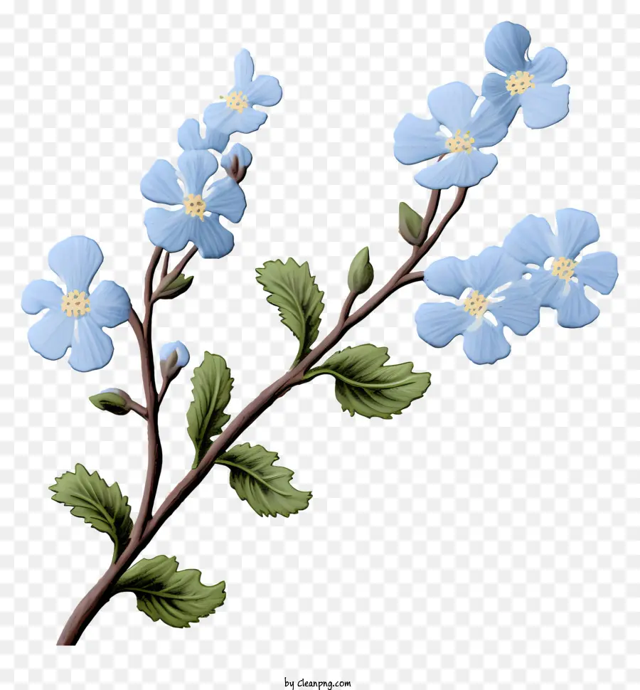 kleine verzweigblaue Blüten zarte Blüten grüne Blätter Stamm - Kleine, zarte blaue Blüten auf dem grünen Zweig