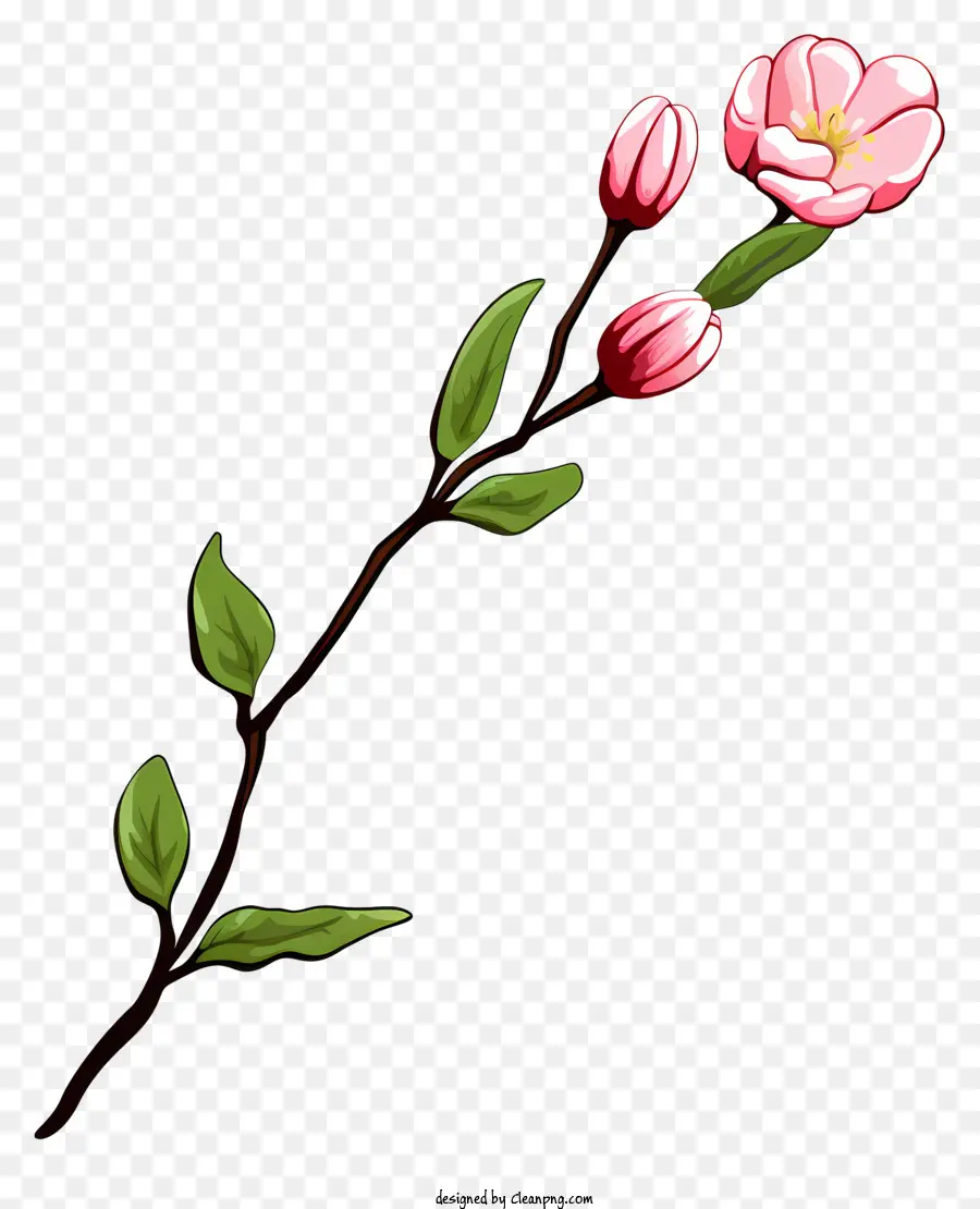 fiore rosa - Fiore rosa in fiore su ramo scuro
