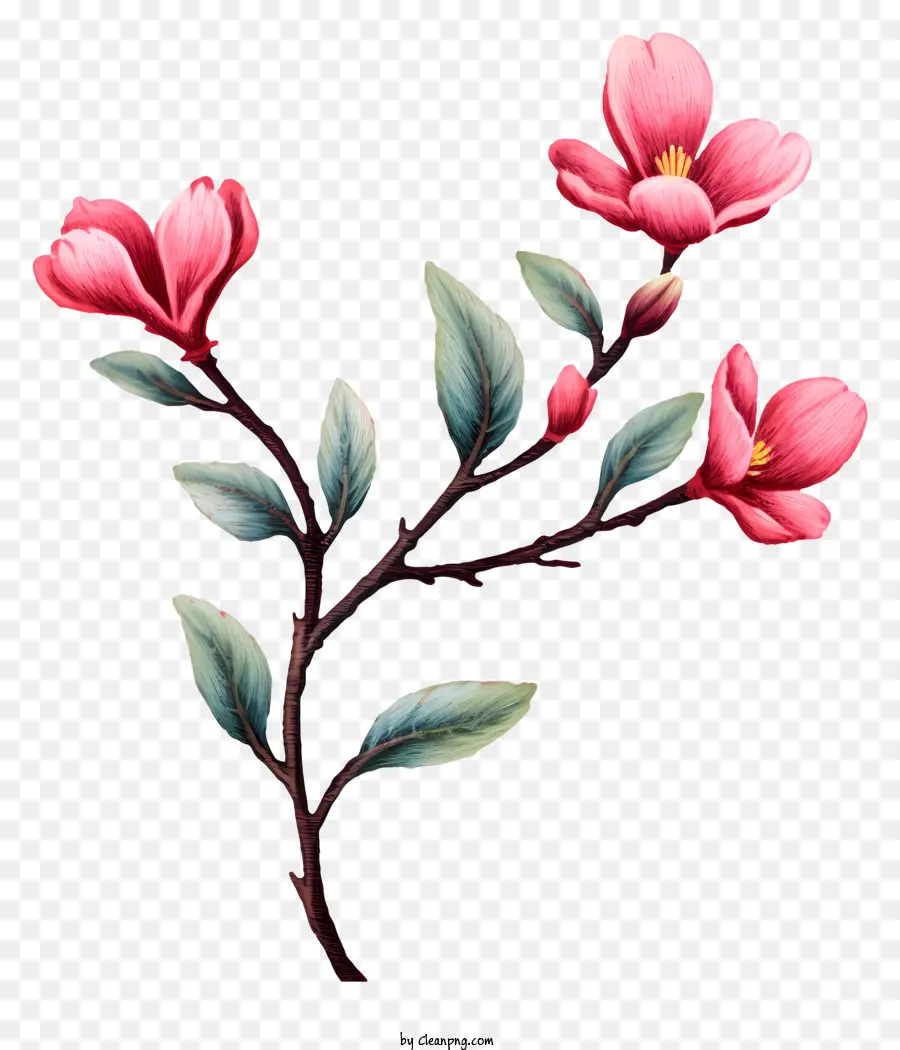 fiore rosa - Fiore rosa sul ramo dell'albero con foglie verdi