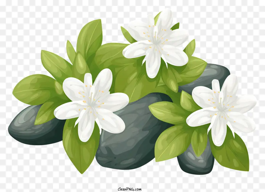 Gesteck - Drei weiße Blumen auf Felsen, die von Pflanzen umgeben sind