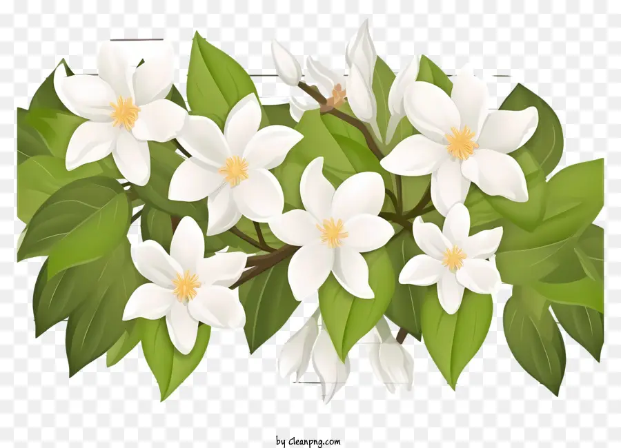 Gesteck - Symmetrischer Cluster weißer Jasminblüten und Blätter