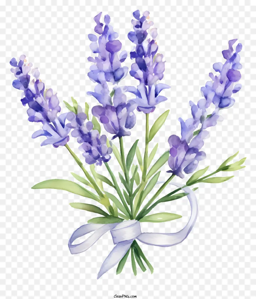 lavender bouquet black background white satin ribbon lavender arrangement floral arrangement
