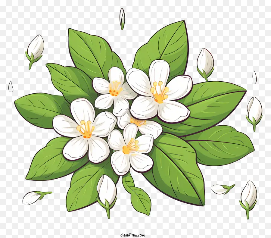 grüne Blätter weiße Blüten rund Blätter Frühling Natur - Gruppe von grünen Blättern und weißen Blüten
