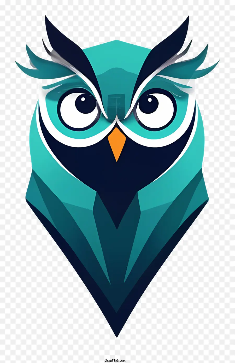 owl graphic image round eyes eyeglasses black frames
