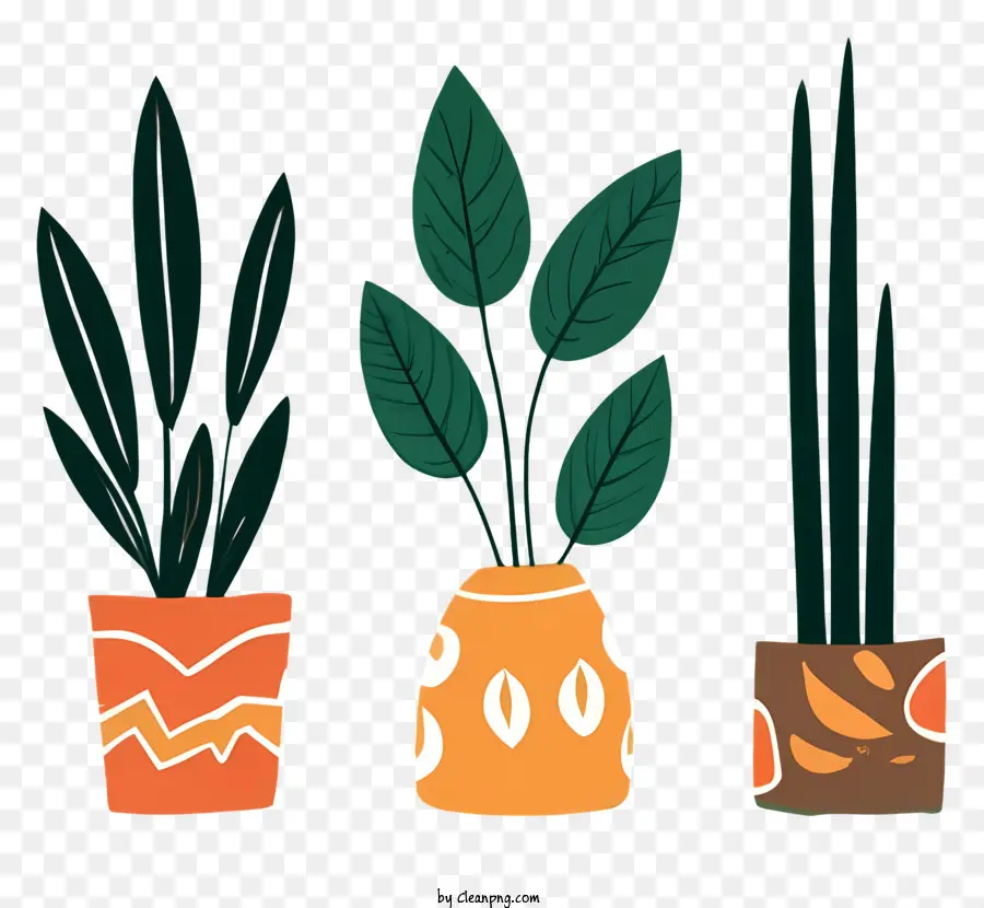 potted plants plants on a black background brightly colored plants orange and yellow pots green leaves