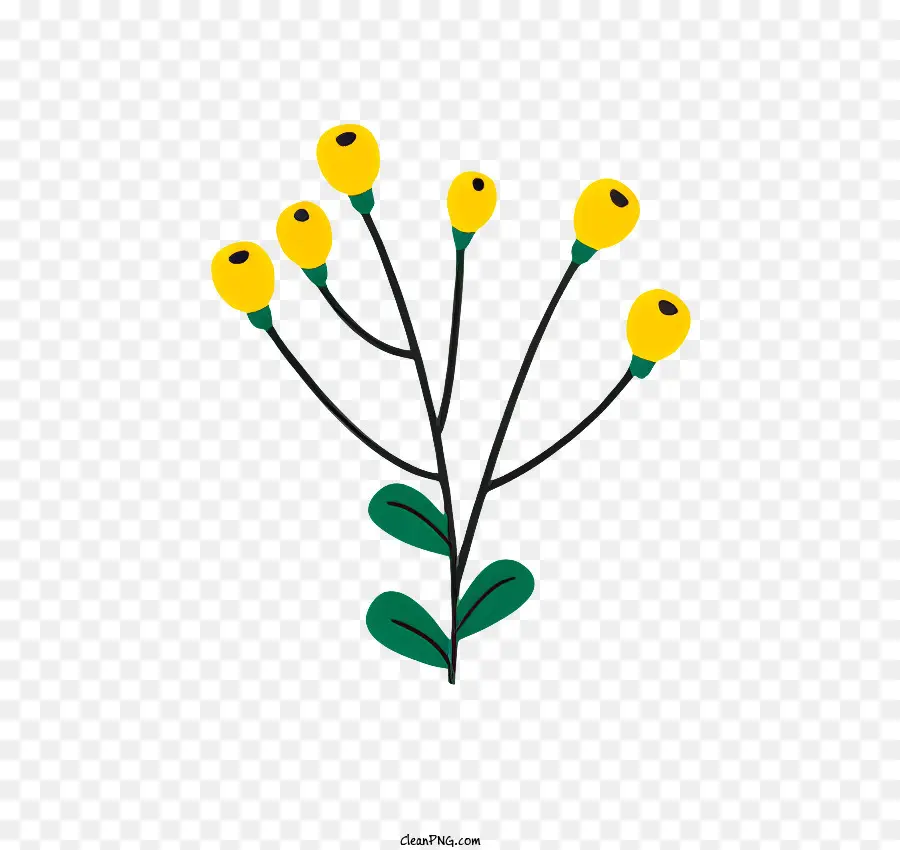 kleine pflanzliche gelbe Blüten Stammblätter braun - Kleine Pflanze mit gelben Blüten und grünem Laub