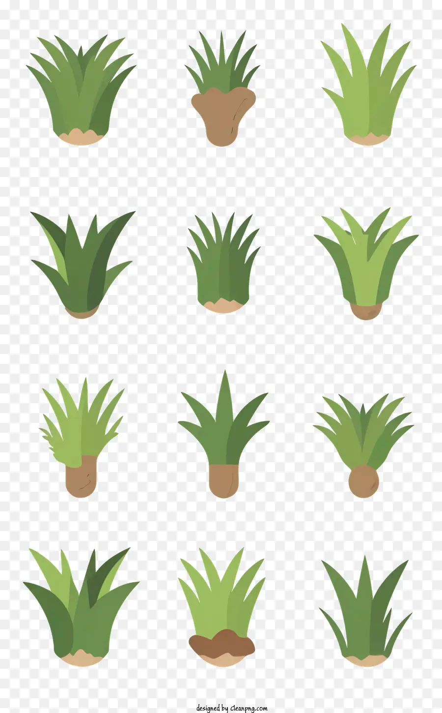 plants green different shapes different sizes textures