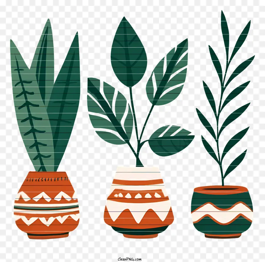 arancione - Tre piante in vaso con foglie colorate