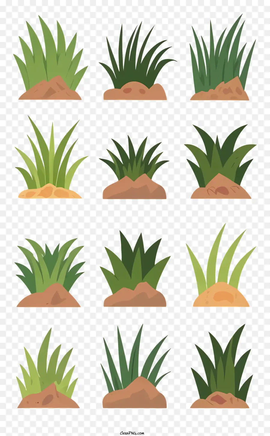 Piante di erba Organizzazione artistica naturalistica - Immagine artistica di vari tipi di erba e piante