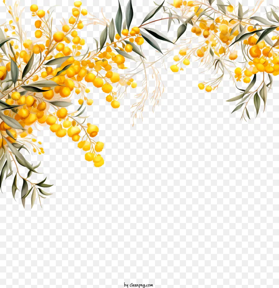 Fiori gialli a wattle dorate disposizione floreale ramo eucalipto - 