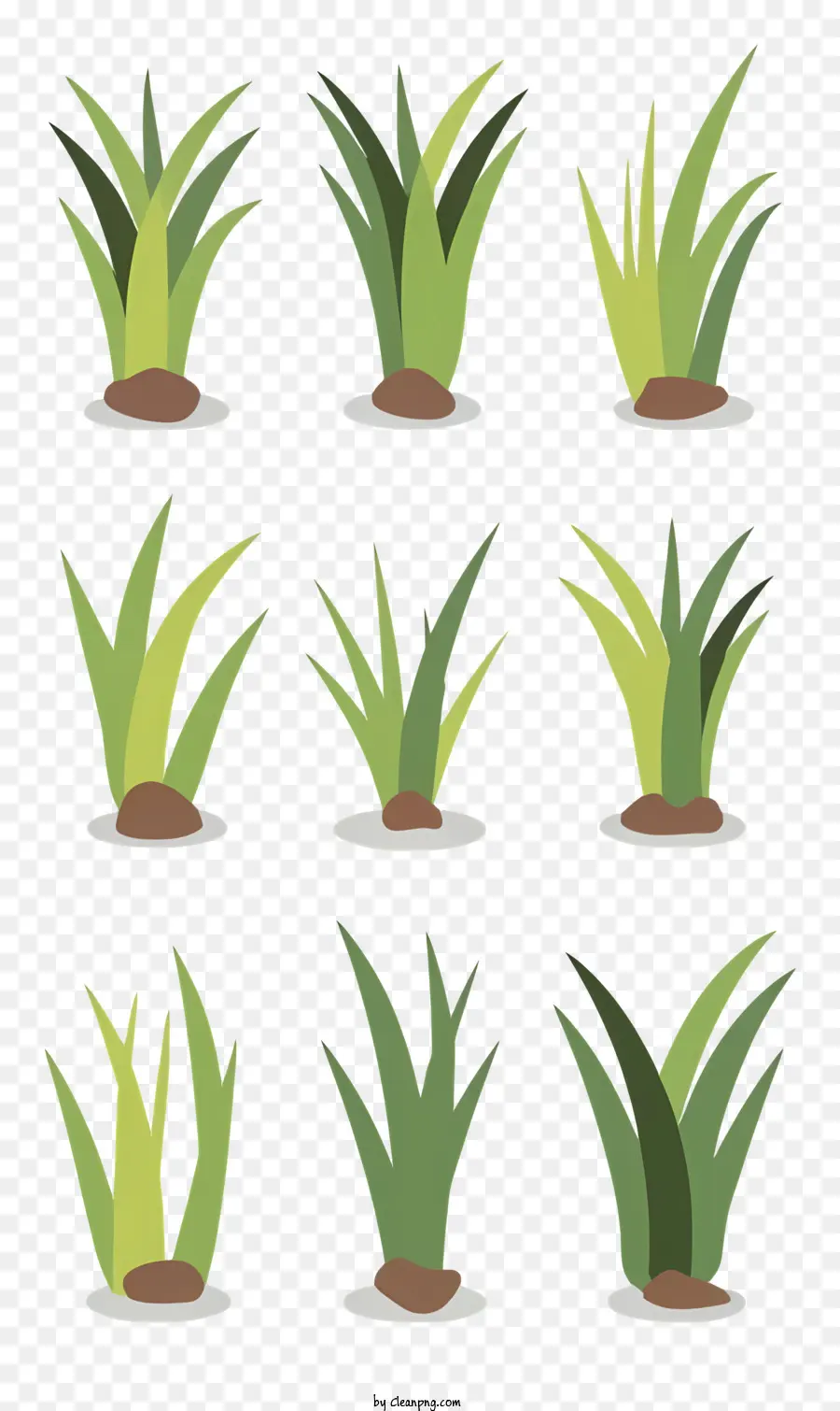grüne Pflanzen Bodenpflanzentypen Formengrößen - Verschiedene grüne Pflanzen, die in visuell ansprechendes Netz angeordnet sind